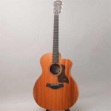 TAYLOR 24ce テイラー 画像2