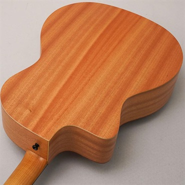 TAYLOR 24ce テイラー 画像5