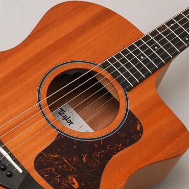 TAYLOR 24ce テイラー 画像6
