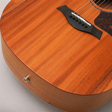 TAYLOR 24ce テイラー 画像7