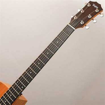 TAYLOR 24ce テイラー 画像8