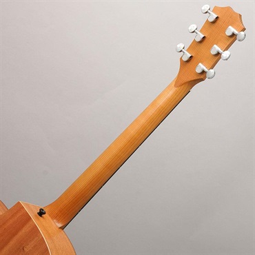 TAYLOR 24ce テイラー 画像9