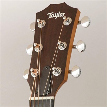 TAYLOR 24ce テイラー 画像10