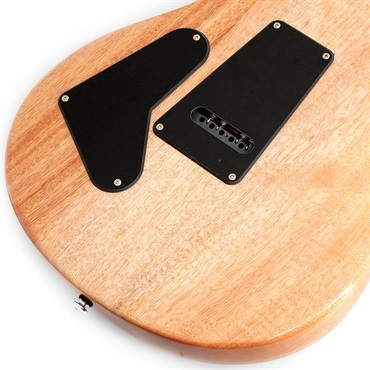 P.R.S. SE Custom24 (Sapphire Fade) 画像7