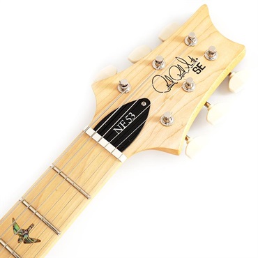 P.R.S. SE NF 53 (Black Doghair) 画像6