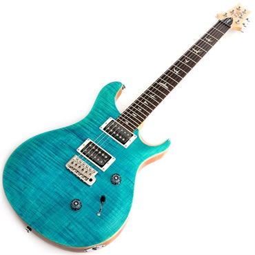 P.R.S. SE Custom24 (Blue Matteo) 画像1