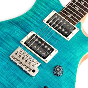 P.R.S. SE Custom24 (Blue Matteo) 画像3