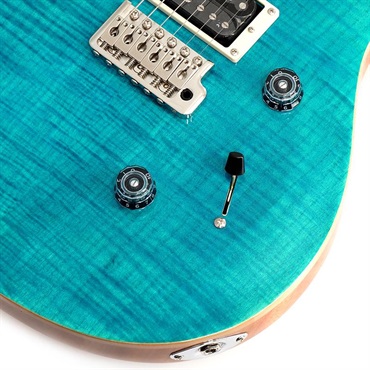 P.R.S. SE Custom24 (Blue Matteo) 画像4