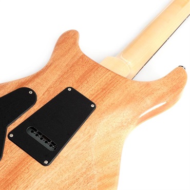 P.R.S. SE Custom24 (Blue Matteo) 画像5