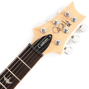P.R.S. SE Custom24 (Blue Matteo) 画像6
