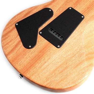 P.R.S. SE Custom24 (Blue Matteo) 画像7