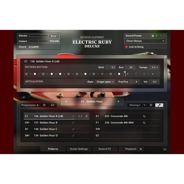 Native Instruments 【ネイティブインストルメンツSummer Sale 2026！】Session Guitarist - Electric Ruby Deluxe (ネイティブインストルメンツ)(KONTAKTインストゥルメント)(オンライン納品)(2時間以内に納品) 画像1