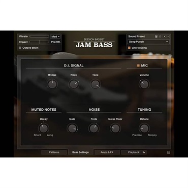 Native Instruments Session Bassist - Jam Bass (ネイティブインストルメンツ)(KONTAKTインストゥルメント)(オンライン納品)(2時間以内に納品) 画像1