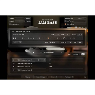 Native Instruments Session Bassist - Jam Bass (ネイティブインストルメンツ)(KONTAKTインストゥルメント)(オンライン納品)(2時間以内に納品) 画像2