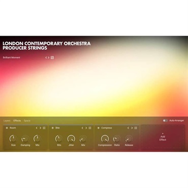 Native Instruments 【ネイティブインストルメンツSummer Sale 2026！】LCO Producer Strings (ネイティブインストルメンツ)(KONTAKTインストゥルメント)(オンライン納品)(2時間以内に納品) 画像2