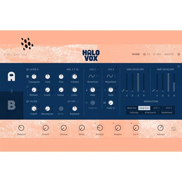 Native Instruments 【ネイティブインストルメンツSummer Sale 2026！】Halo Vox (ネイティブインストルメンツ)(Play Series音源)(オンライン納品)(2時間以内に納品) 画像1