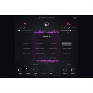 Native Instruments 【ネイティブインストルメンツSummer Sale 2026！】Scene: Lotus (ネイティブインストルメンツ)(KONTAKTインストゥルメント)(オンライン納品)(2時間以内に納品) 画像1