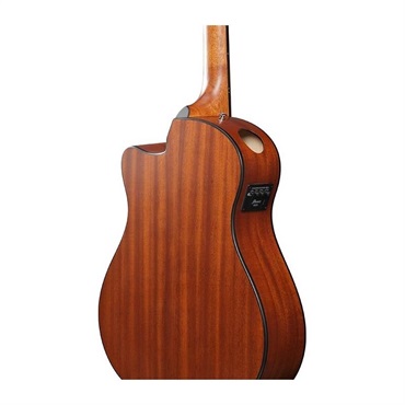 Ibanez 【夏のボーナスセール】【数量限定特価】AAM50CE-CRO アイバニーズ 画像3