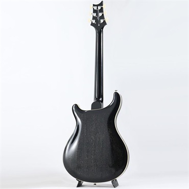 P.R.S. SE Hollowbody Standard (Dog Hair Smokeburst) 【2025年生産品】 画像2