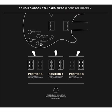 P.R.S. SE Hollowbody Standard Piezo (Dog Hair Smokeburst) 【2025年生産品】 画像9