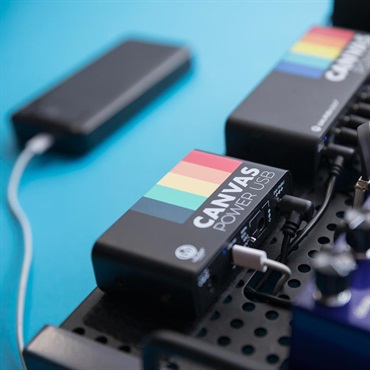WALRUS AUDIO Canvas Power USB（パワーサプライ） 画像6