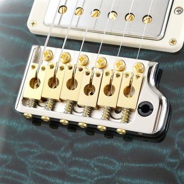 P.R.S. Ikebe 50th Anniversary Wood Library Special Semi-Hollow (Custom Color) [SN.0404913] 【2025年生産品】 画像6