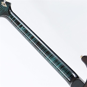 P.R.S. Ikebe 50th Anniversary Wood Library Special Semi-Hollow (Custom Color) [SN.0404913] 【2025年生産品】 画像8