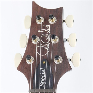 P.R.S. Ikebe 50th Anniversary Wood Library Special Semi-Hollow (Custom Color) [SN.0404913] 【2025年生産品】 画像9