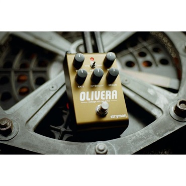 strymon OLIVERA（ストライモン）ヴィンテージエコー 画像2