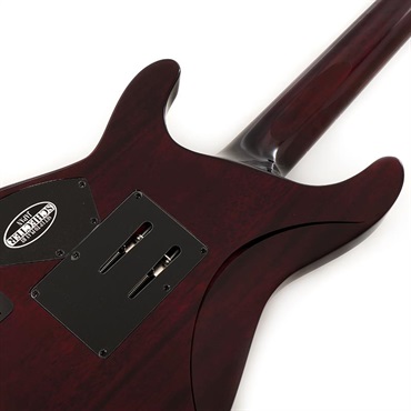 SCHECTER C-7 FR Hellraiser [AD-C-7-FR-HR] (BCH) 画像5