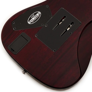 SCHECTER C-7 FR Hellraiser [AD-C-7-FR-HR] (BCH) 画像7