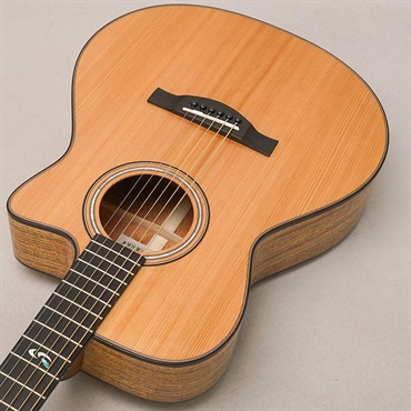 MORRIS 【Japan Forest Series】 S-JF SEN モーリス 画像4