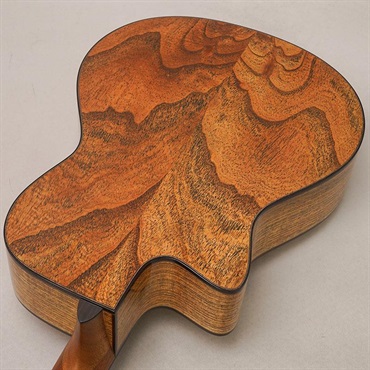MORRIS 【Japan Forest Series】 S-JF SEN モーリス 画像5