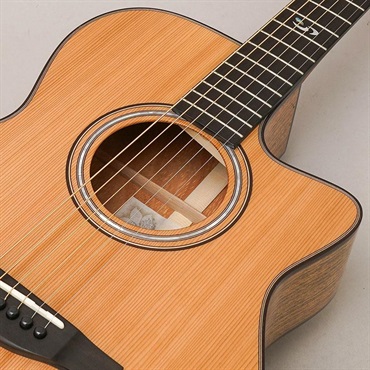 MORRIS 【Japan Forest Series】 S-JF SEN モーリス 画像6