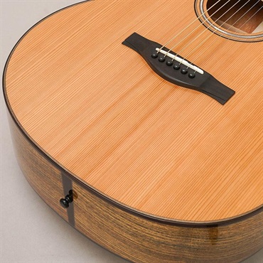 MORRIS 【Japan Forest Series】 S-JF SEN モーリス 画像7