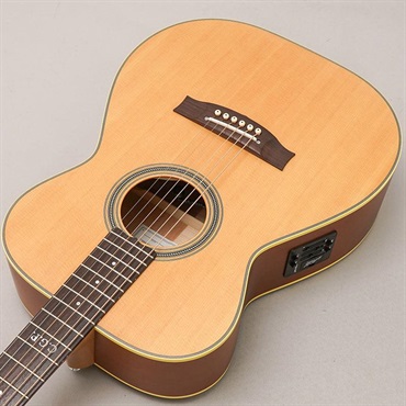 MATON Master Built TE Personal メイトン 画像4
