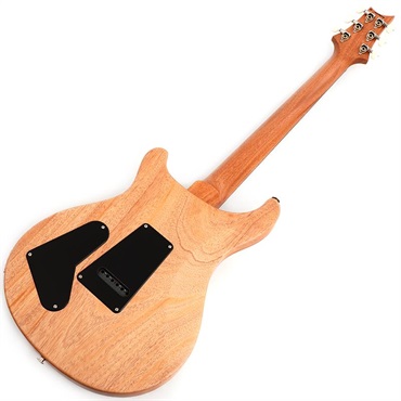 P.R.S. S2 Special Semi-Hollow Reclaimed Limited (Natural) [SN.S2085093] 画像2