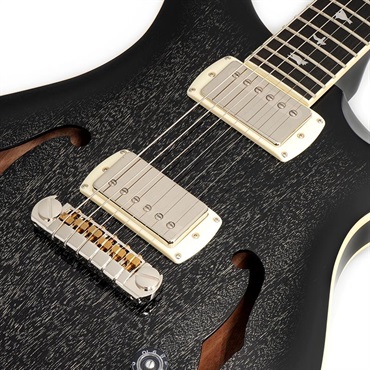 P.R.S. SE Hollowbody Standard (Dog Hair Smokeburst) 画像3