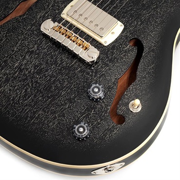 P.R.S. SE Hollowbody Standard (Dog Hair Smokeburst) 画像4