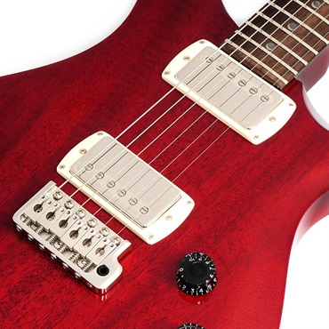 P.R.S. SE DGT Standard (Vintage Cherry) 画像3