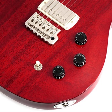 P.R.S. SE DGT Standard (Vintage Cherry) 画像4