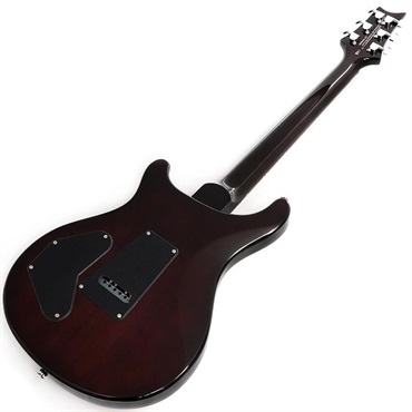 P.R.S. SE DGT Standard (McCarty Tobacco Sunburst) 画像2