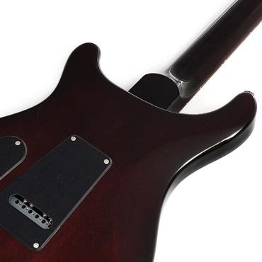 P.R.S. SE DGT Standard (McCarty Tobacco Sunburst) 画像5
