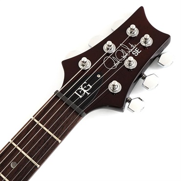 P.R.S. SE DGT Standard (McCarty Tobacco Sunburst) 画像6