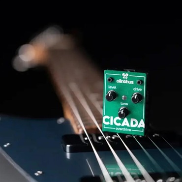 olinthus CICADA（オーバードライブ） 画像3