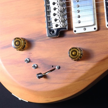 P.R.S. S2 Special Semi-Hollow Reclaimed Limited (Natural) #S2085344【2025年生産品】 画像6
