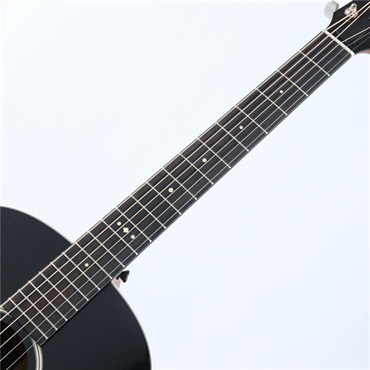 TAYLOR Gold Label 517e テイラー 画像2