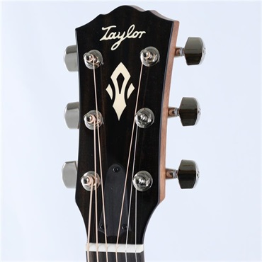 TAYLOR Gold Label 517e テイラー 画像3