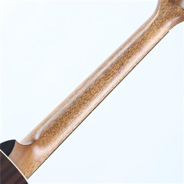 TAYLOR Gold Label 717e テイラー 画像8