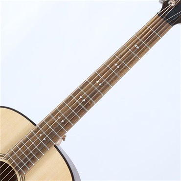 TAYLOR GT Urban Ash/Spruce テイラー 画像2